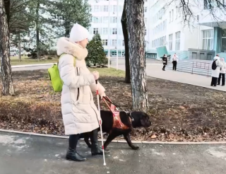 A blind Rostov woman became a guide between guide dogs and visually impaired people